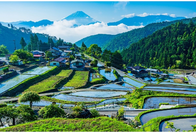 平林の棚田