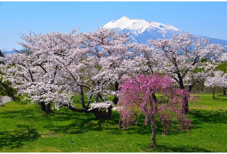 岩木川河川公園