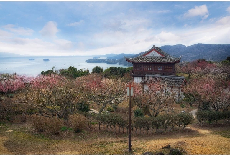 御津自然観察公園（世界の梅公園）