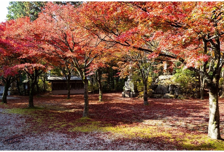 呑山観音寺