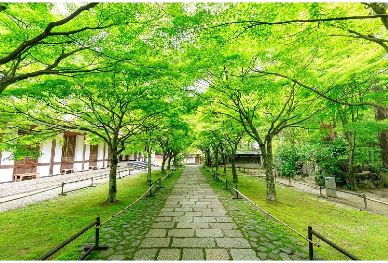 呑山観音寺