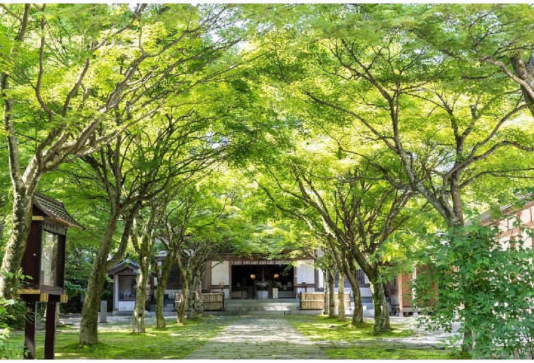 呑山観音寺