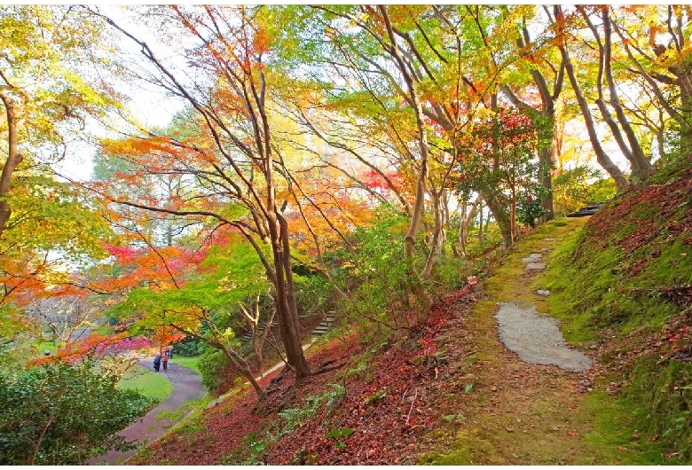 白野江植物園