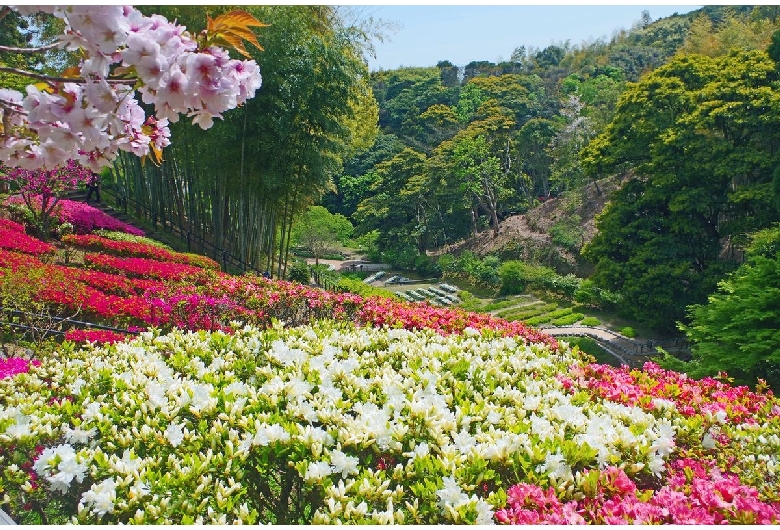 白野江植物園