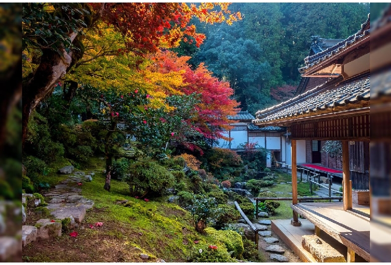 宗鏡寺（沢庵寺）