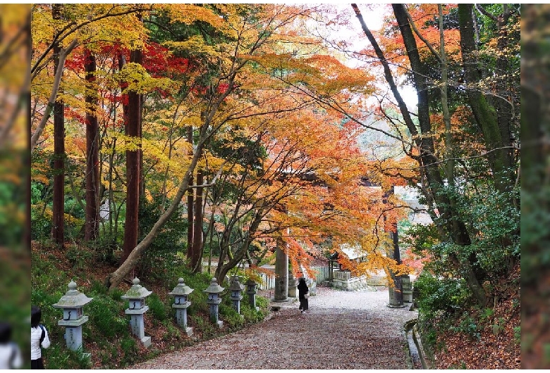 胡宮神社