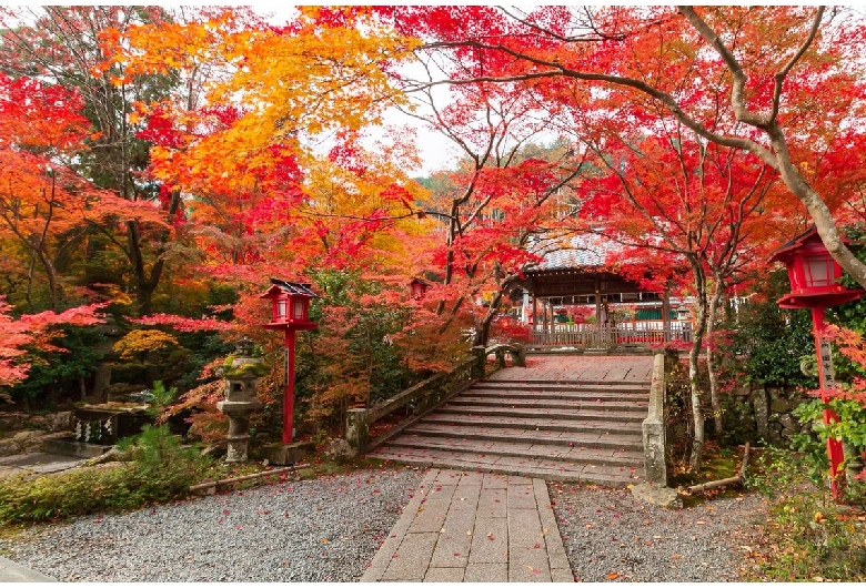 綾部・福知山・湯の花・丹波・亀岡