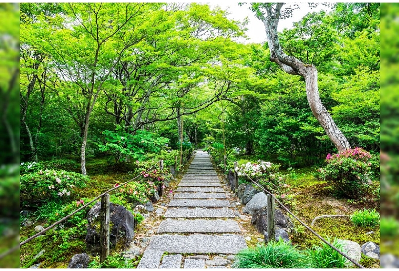 嵐が丘 1日富士山麓観光（新倉山浅間神社・忍野八海・富士急ハイランド