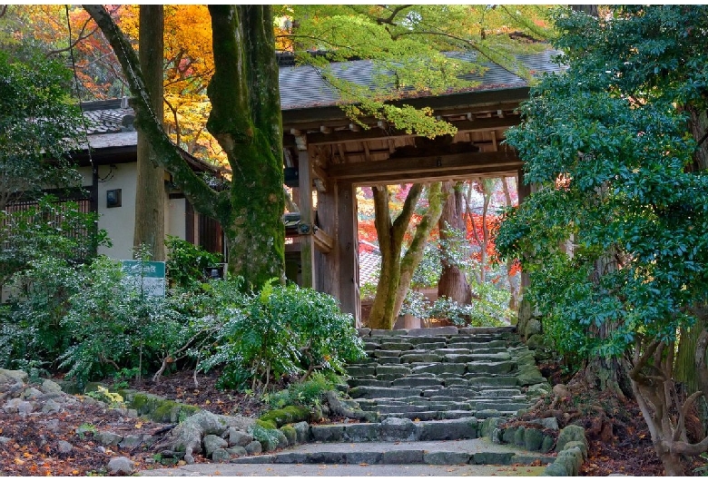 瑞宝寺公園