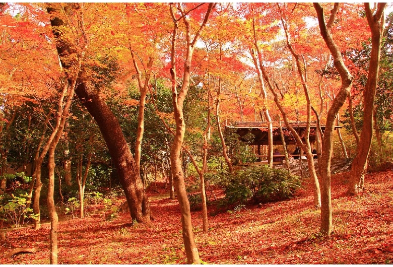 瑞宝寺公園