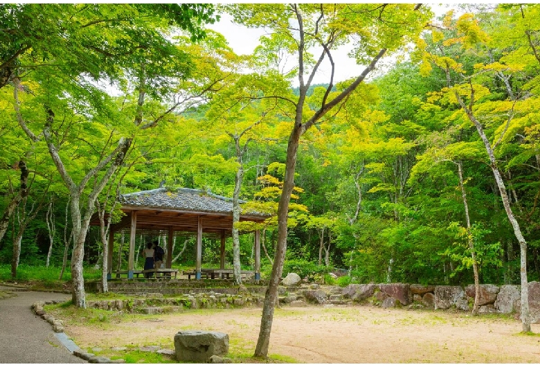 瑞宝寺公園