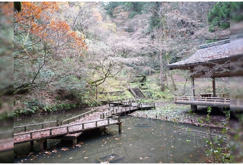 加茂山公園