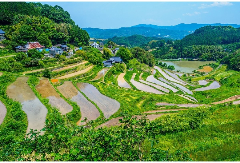 北庄の棚田