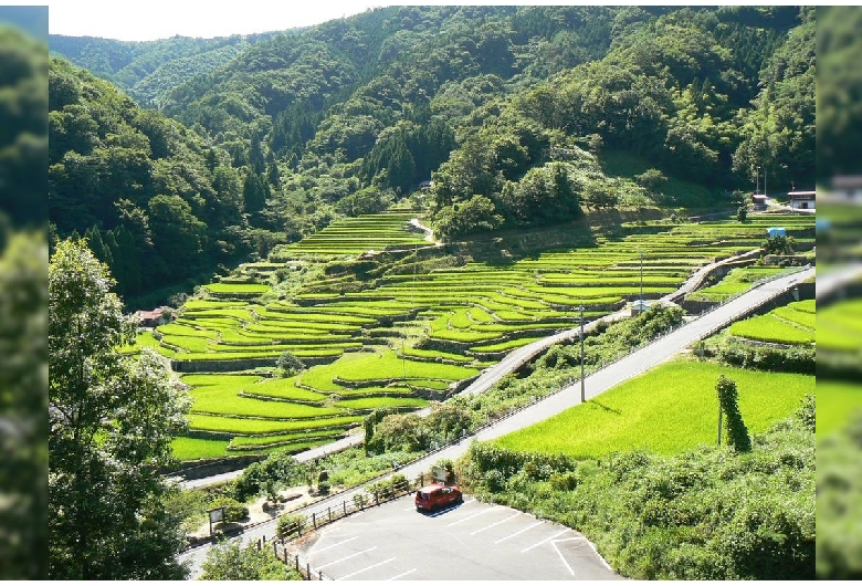 大井谷の棚田