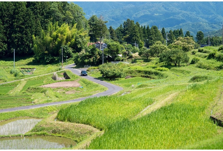 山王寺の棚田