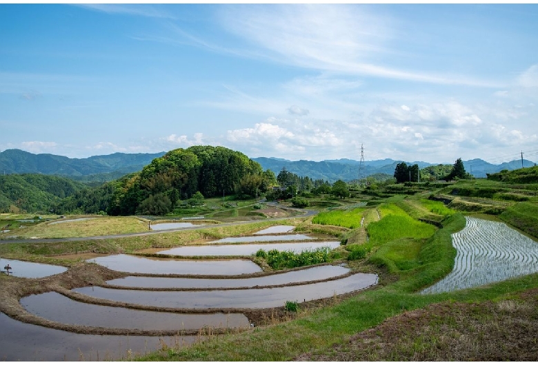 山王寺の棚田