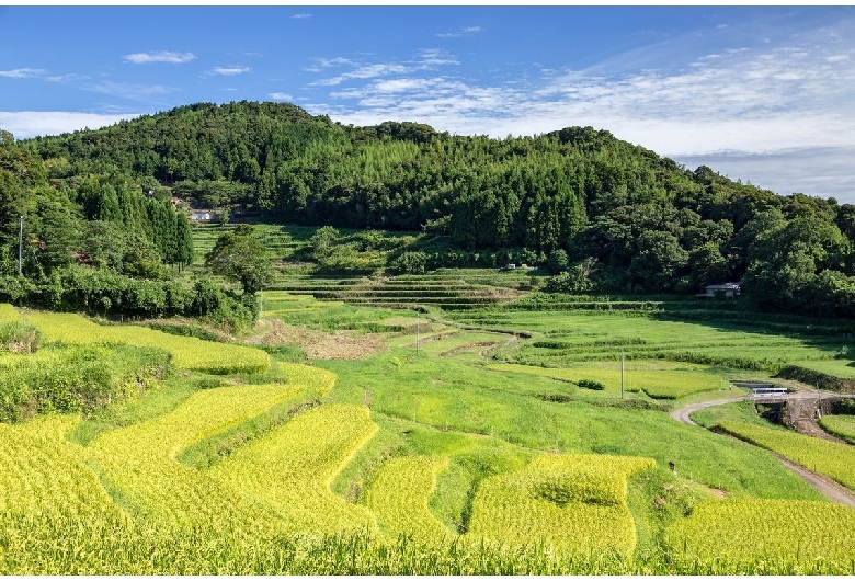 中垣内の棚田