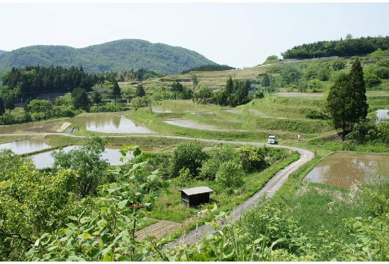 横尾の棚田