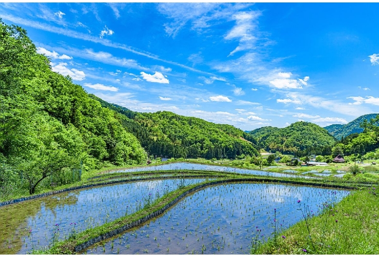 毛原の棚田