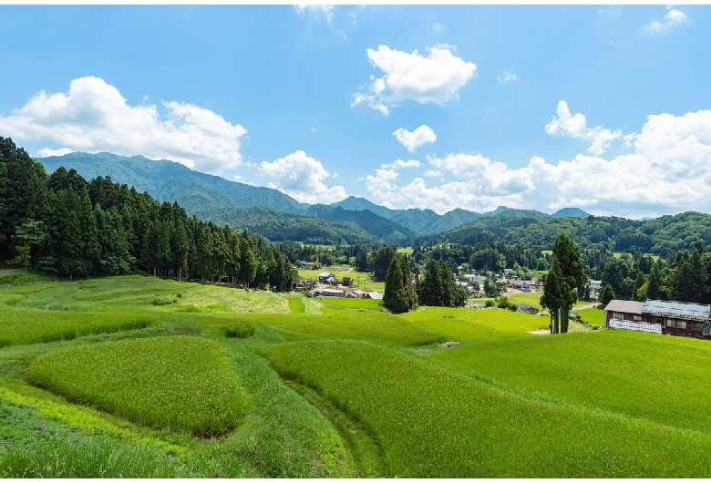 北五百川の棚田