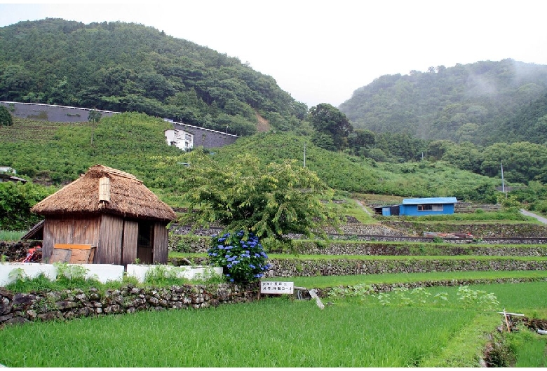 北山の棚田