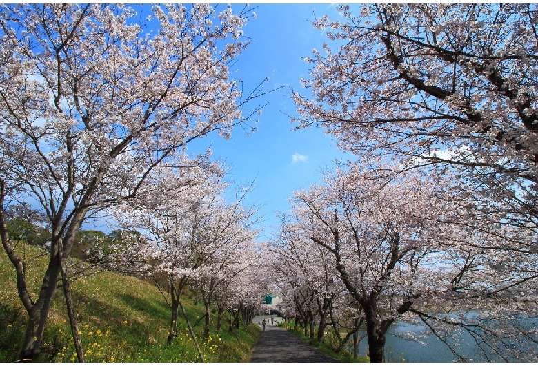 日の隈公園