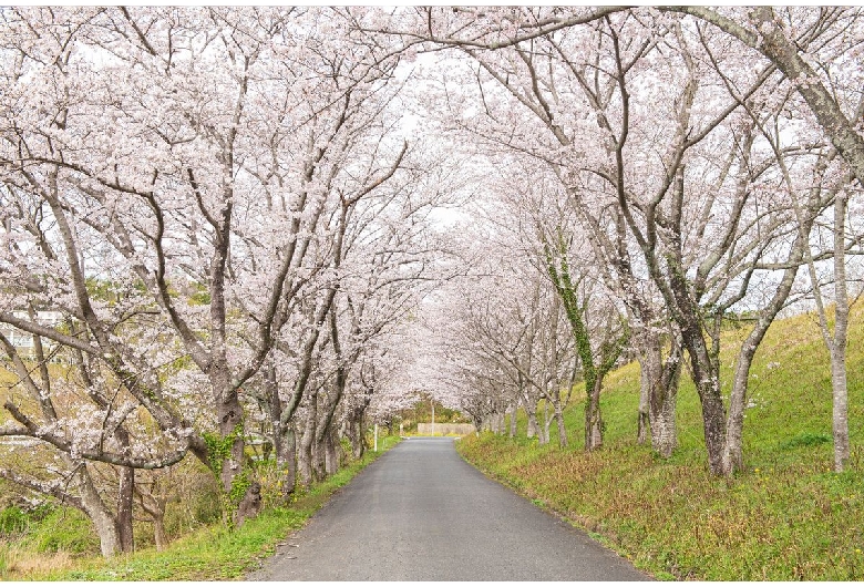 日の隈公園