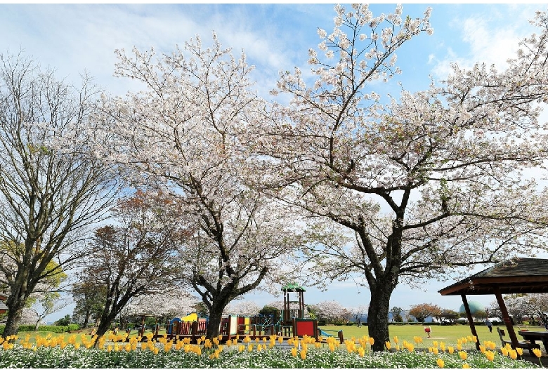 寺山いこいの広場