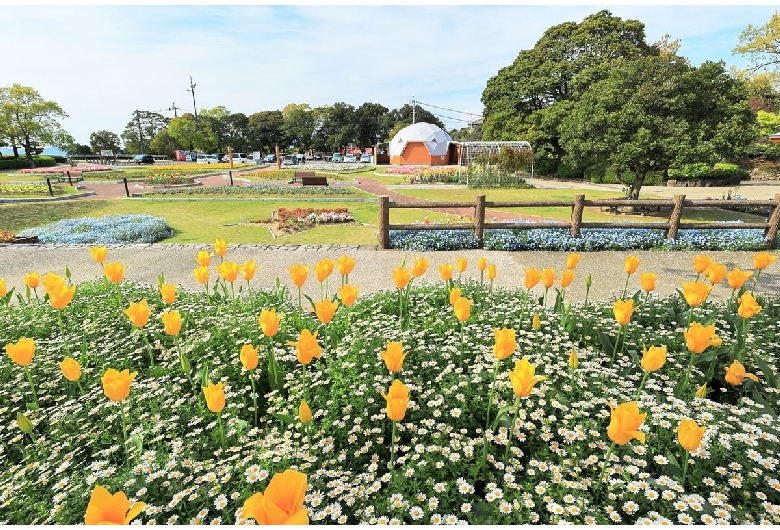 寺山いこいの広場