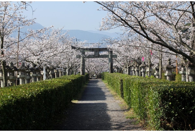 旭ヶ岡公園