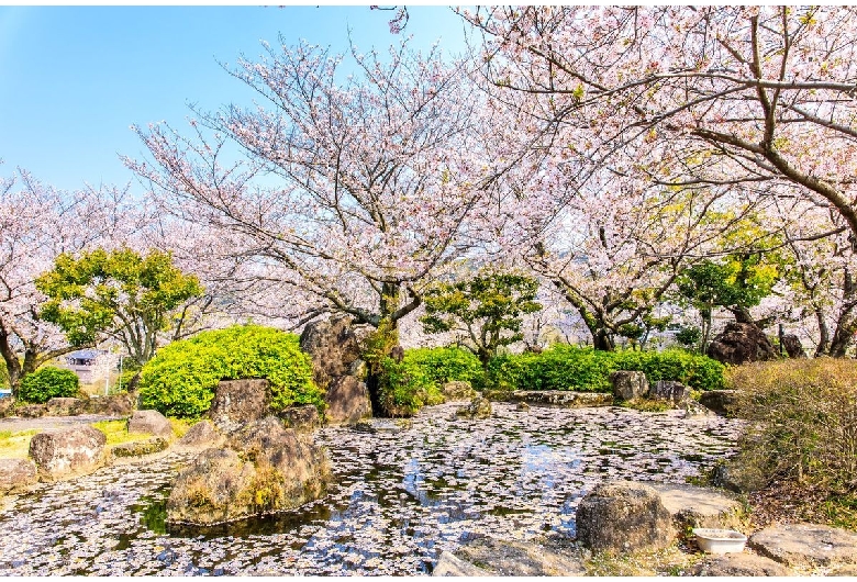 橘神社