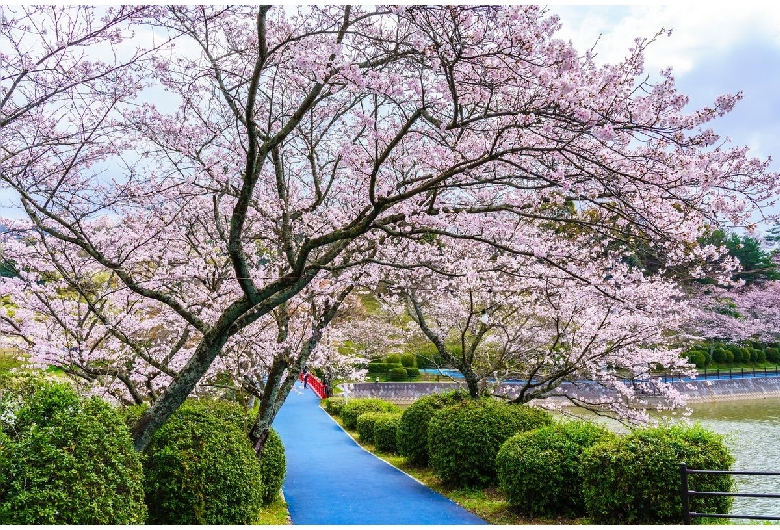 甘木公園