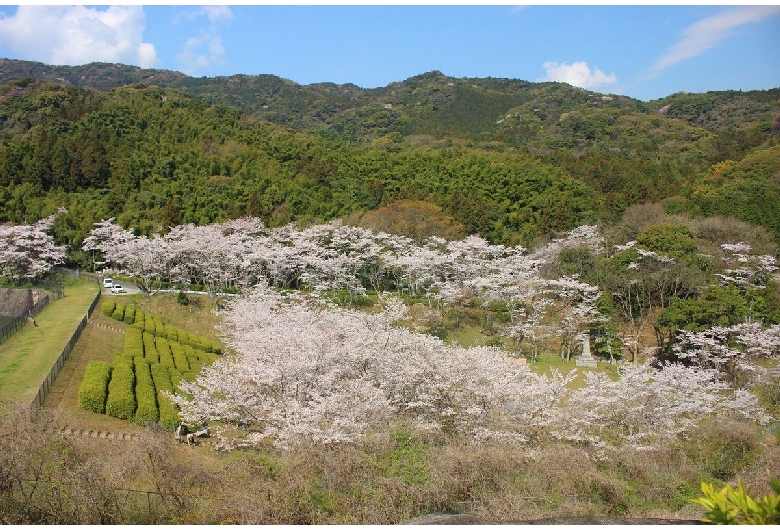 昭和池公園