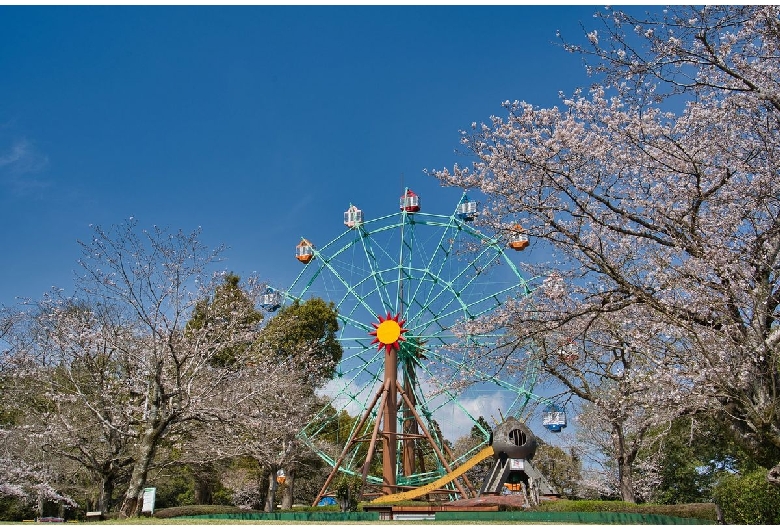 観音池公園