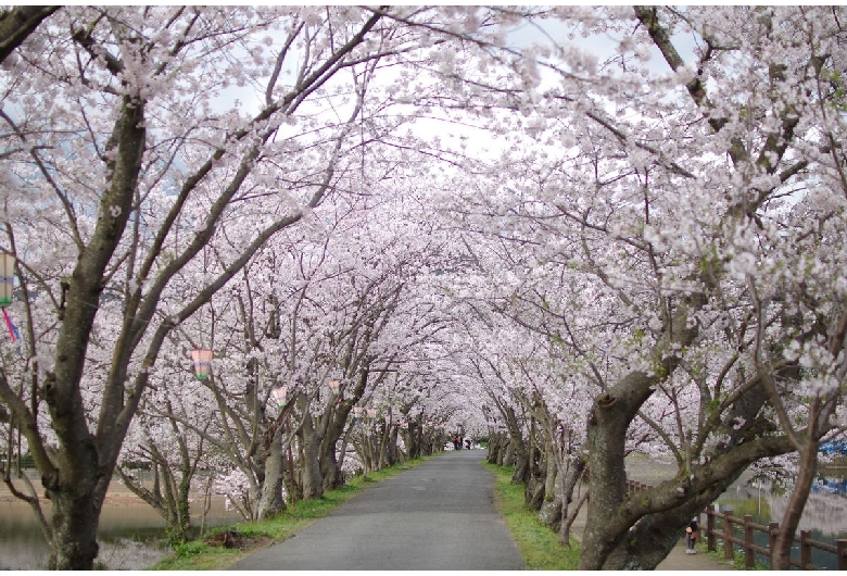 立岡自然公園