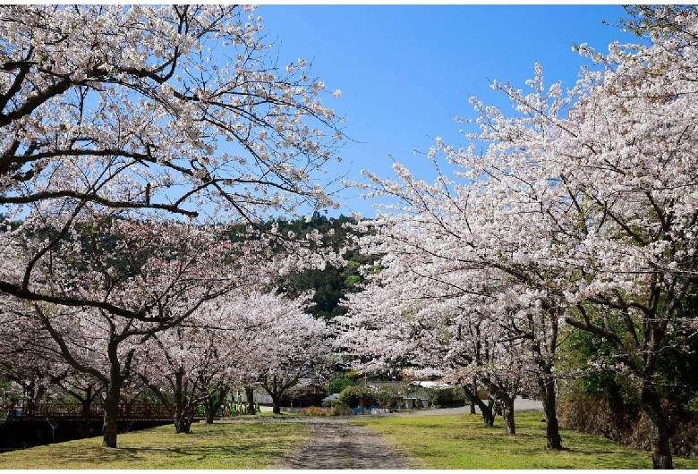 玉井御殿