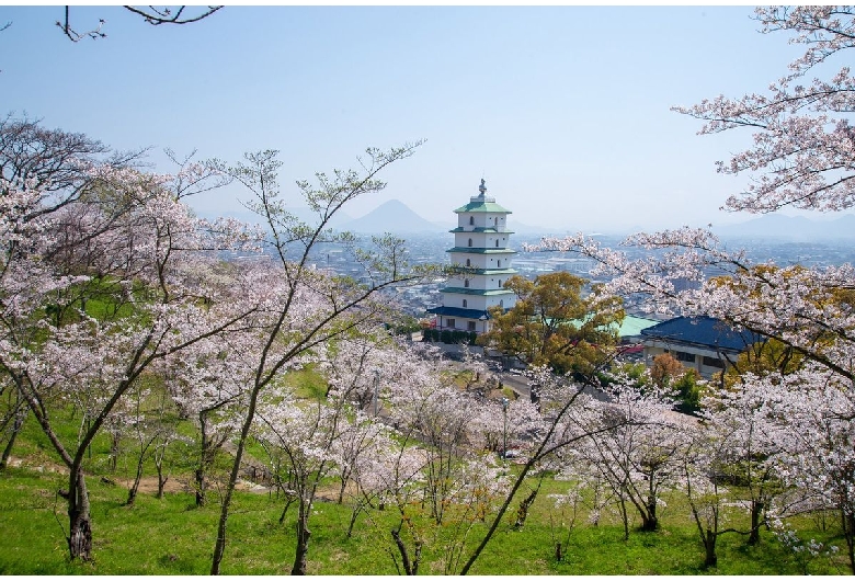 桃陵公園