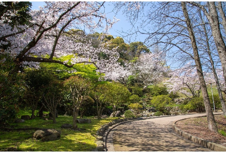 桃陵公園