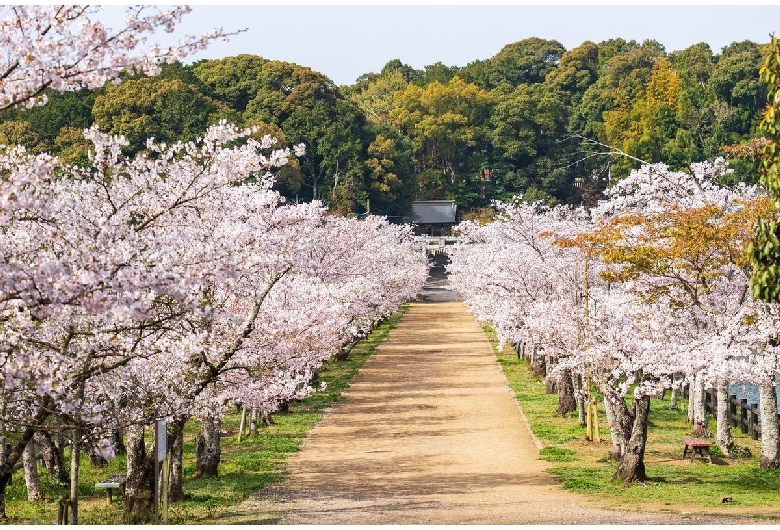 亀鶴公園