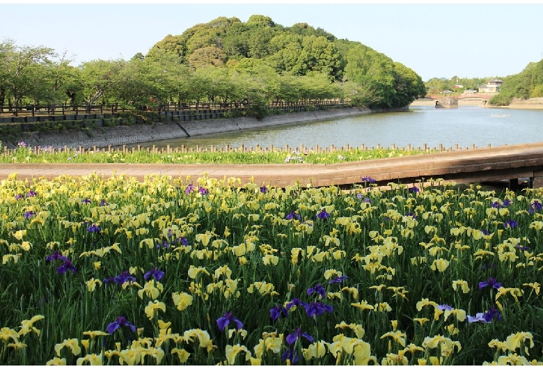 亀鶴公園