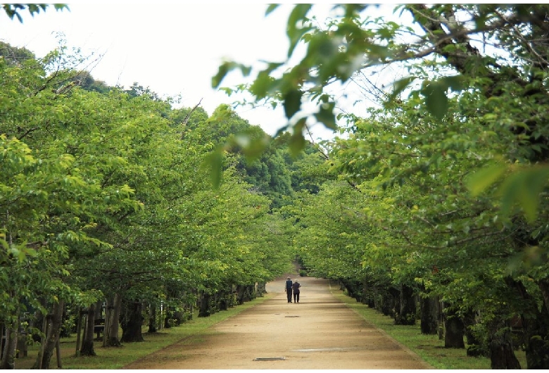 亀鶴公園