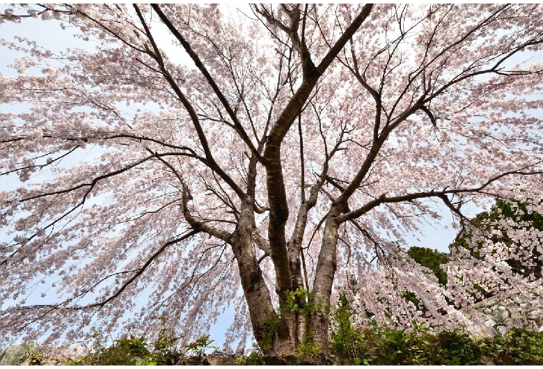 川井峠