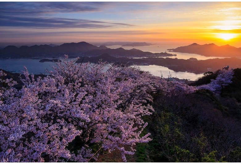 積善山三千本桜