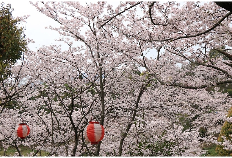 開山公園