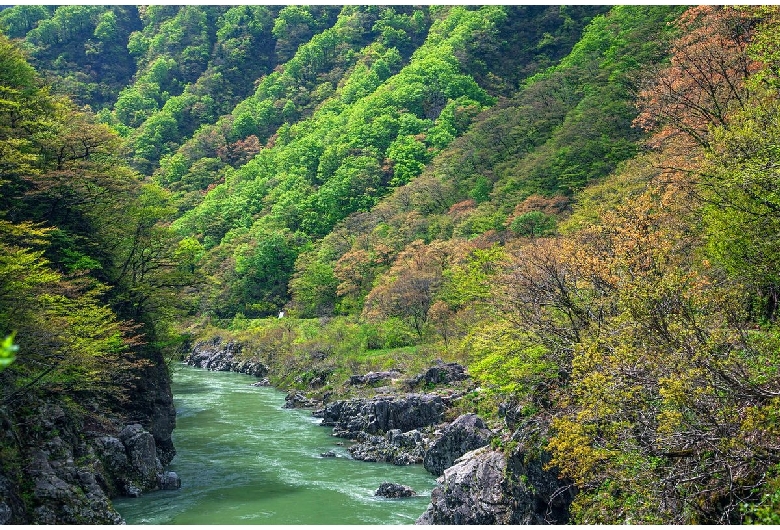 赤芝峡