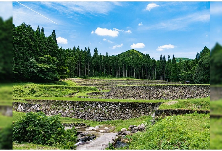 幸田の棚田