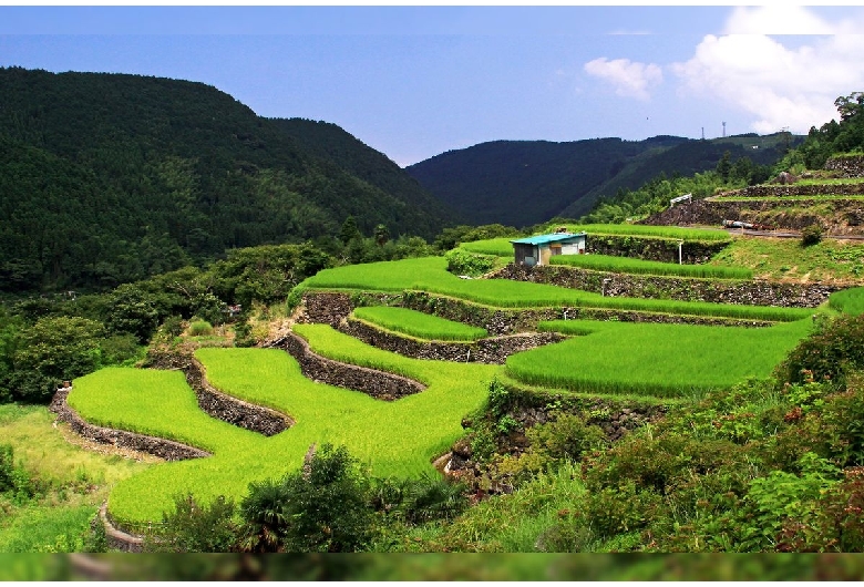 寒川の棚田（寒川地区棚田）