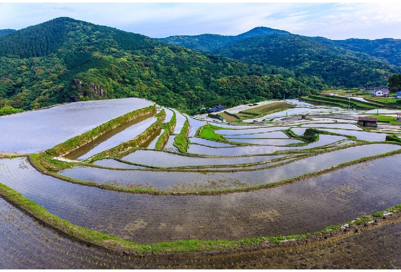 大中尾棚田