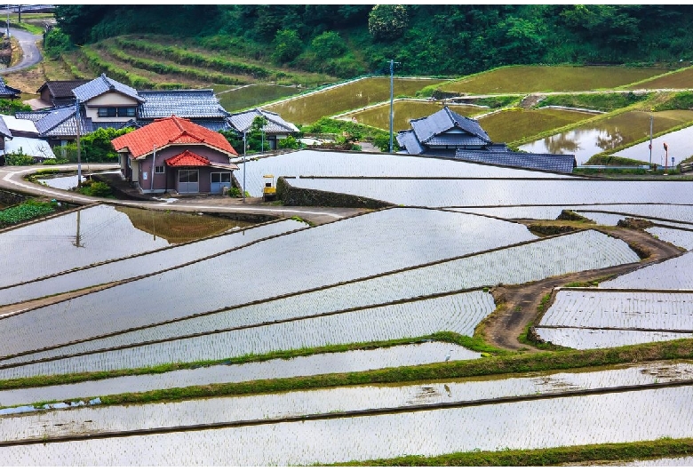 鬼木の棚田