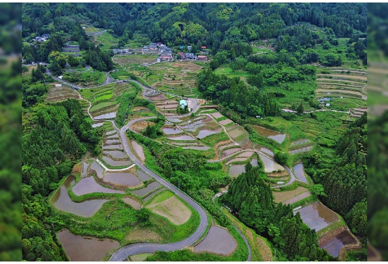 江里山の棚田